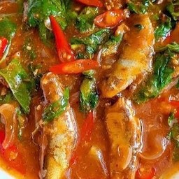 กระเพราปลากระป๋องราดข้าว
