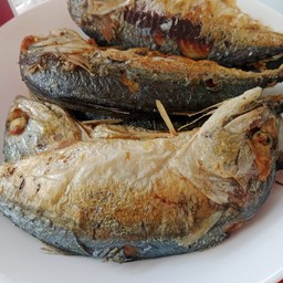 ปลาทูทอด