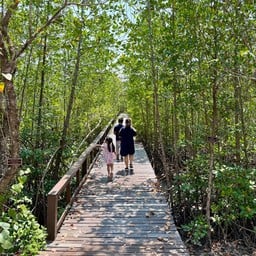 สวนป่าชายเลนทูลกระหม่อม