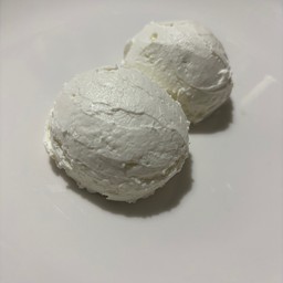 กรีกโยเกิร์ตแมวเปรต Raccoon Greek Yogurt