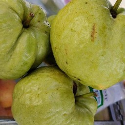 ผลไม้ ปอก ผลไม้ ปอกสาขา2
