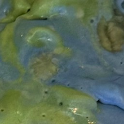 โลกเนรมิต (มารับเซไกไปเล่นน้ำ)