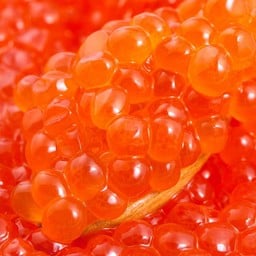 Ikura 15g ( ไข่ปลาแซลมอน )