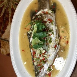 ปลากะพงนึ่งมะนาว