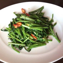 ผักบุ้งไฟแดง