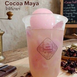 บ้านโกโก้ไทยรุ่งเรือง ศรีภูวนารถใน