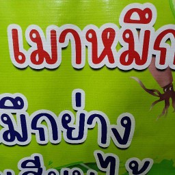 เมาหมึกปิ้งย่าง บ้านดู่
