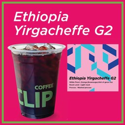 Ethiopia Yirgacheffe G2