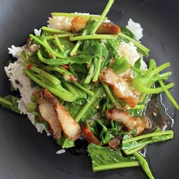 ข้าวคะน้าหมูกรอบခနားမိုးကော်
