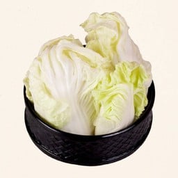 ผักกาดขาว