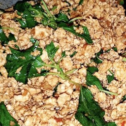 กระเพราไก่สับเด็ก ( ไม่ใส่พริกเลย )