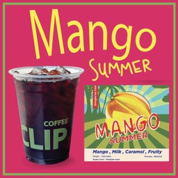 MANGO SUMMER