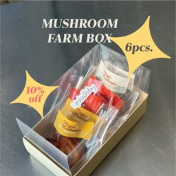 Mushroom Farm Box (6pcs)