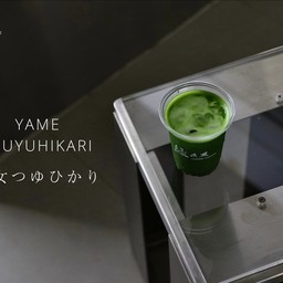 Clear Yame Tsuyuhikari ( 八女つゆひかり )