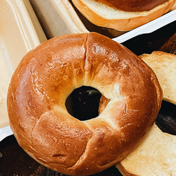 Plain Bagel