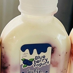 โยเกิร์ต บลูเบอร์รี่
