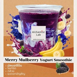 เมอร์รี่ มัลล์เบอร์รี่ โยเกิร์ต สมูทตี้ อาร์ท - 217 kcal/each - ควบคุมระดับน้ำตาลในเลือด & ชะลอวัย