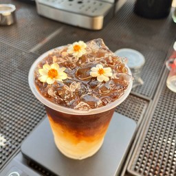 Ame Coconut  Flower - [อเมริกาโน่ช่อดอกมะพร้าว]