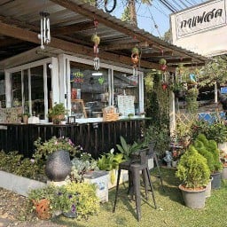 Baiboon coffee กาแฟร้านต้นไม้-บ้านหนองโก
