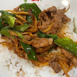 ผัดฉ่าเนื้อราดข้าว Stir Fried  Beef with fingerroot On Rice