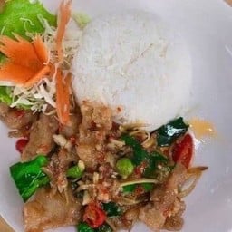 ผัดฉ่าปลากระพงราดข้าว Stir Fried Sea Bass with fingerroot with rice