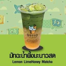 Gatto cha กัตโตะชา สาขา ปตท จิฟฟี่ แอร์พอร์ต 2 เชียงใหม่