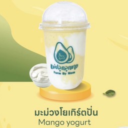 มะม่วงนมสดโยเกิร์ตปั่น