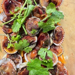 หอยแครงลวงจิ้ม