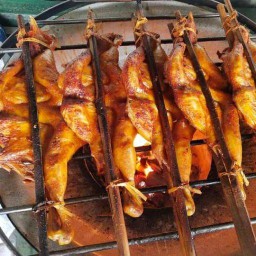 เช็คอิน ไก่ย่างเขาสวนกวาง อาหารอีสาน สาขา1
