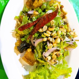 พล่าปลาดุก