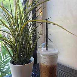 ลาเต้