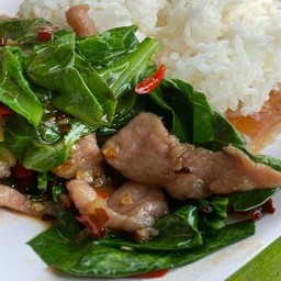 คะน้าหมูชิ้นราดข้าว