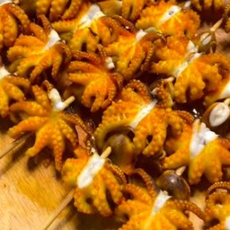 หนวดหมึกสาย ไซต์เล็ก)