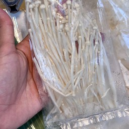 เห็ดเข็ม