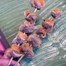 หอยแครง