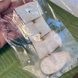 เห็ดนางโรมหลวง