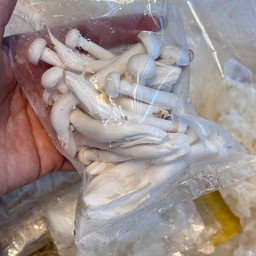 เห็ดออรินจิ