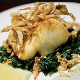 SNOWFISH WITH TRUFFLE SAUCE