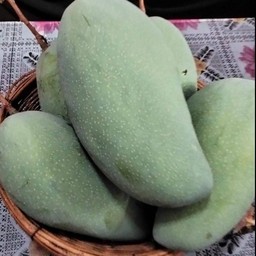มะม่วงเขียวใหญ่