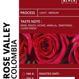 COLOMBIA ROSE VALLEY