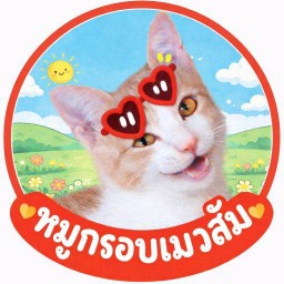 หมูกรอบแมวส้ม