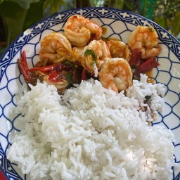 กระเพรากุ้ง ราดข้าว