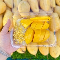 ข้าวเหนียวมะม่วง Good&Tod หน้าวัดใหม่สุปดิษฐาราม นครชัยศรี