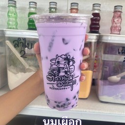 นมเผือก