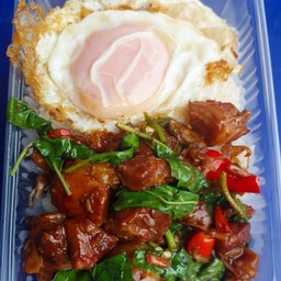 ข้าวกะเพราเนื้อตุ๋น+ไข่ดาว