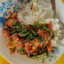 แวะชิม ริมทาง
