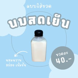 นมสดเย็นอาตี๋ (แบบขวด)