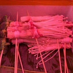 หม่าล่าครอบครัว