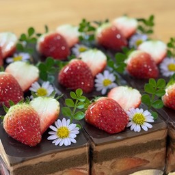 ช๊อคโกแลตสตอเบอรี่ช๊อตเค้ก