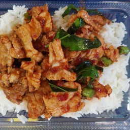 กระเพราหมูชิ้น